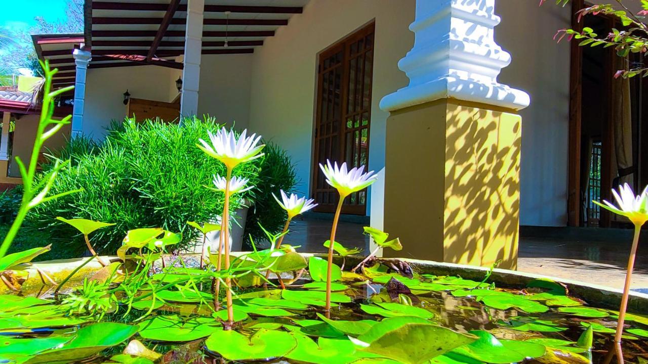 Greenville Resort And Spa Dambulla Exterior photo